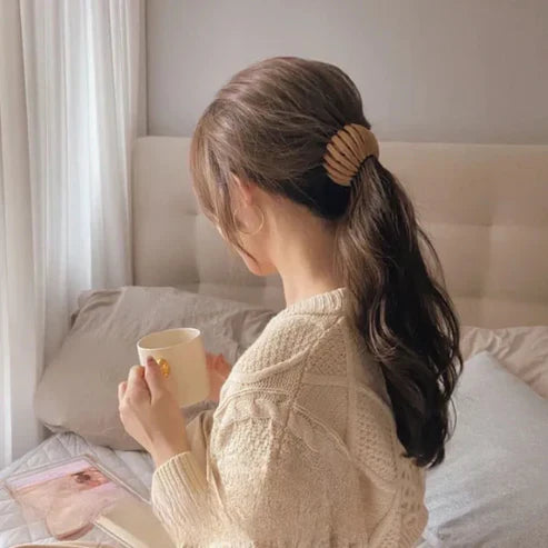 Gripova™ – Snap-On Bird Nest Hair Clip (1+2 Free)